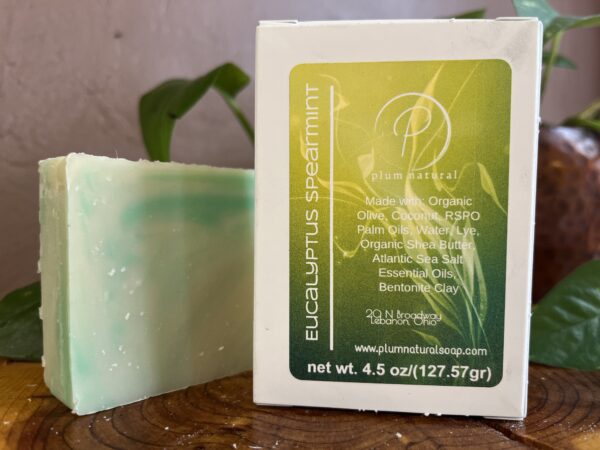 Eucalyptus Spearmint Natural Soap Bar 4.5oz